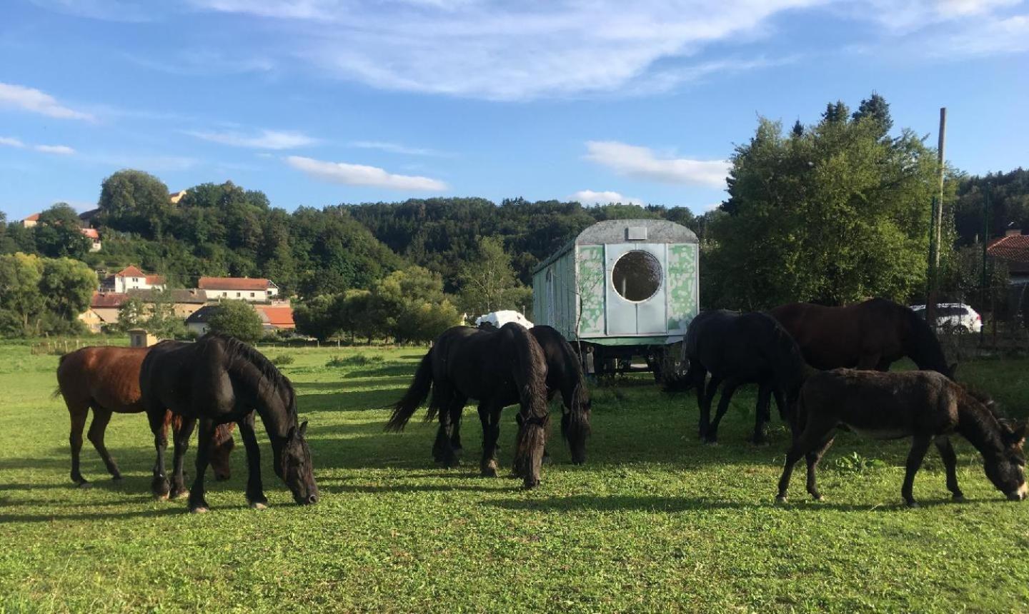 Glamping - Stylova Maringotka V Srdci Ladova Kraje, Pobliz Hlavniho Mesta Prahy Stribrna Skalice Eksteriør bilde